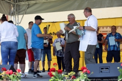 IMG-3919