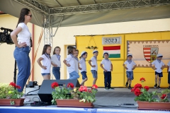 IMG-3945