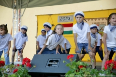 IMG-3961