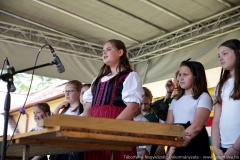 IMG-3972