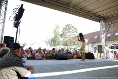 IMG-4206