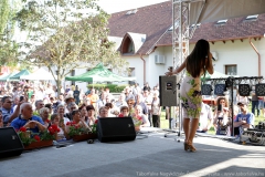 IMG-4209
