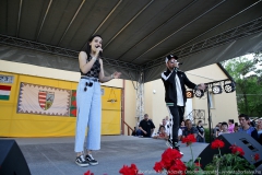 IMG-4290