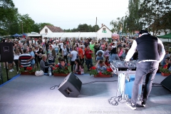 IMG-4353