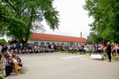 IMG-6378