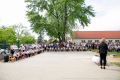 IMG-6381