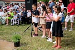 IMG-6384